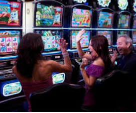 壹号娱乐电脑免费版